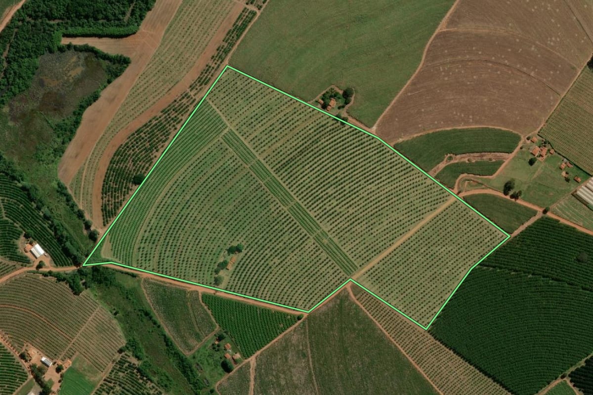 Imagem de satélite do imóvel rural em Itápolis (SP), com o contorno declarado no CAR desenhado por cima.