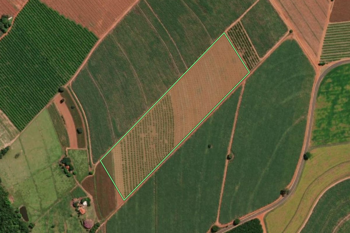 Imagem de satélite do imóvel rural em Itápolis (SP), com o contorno declarado no CAR desenhado por cima.