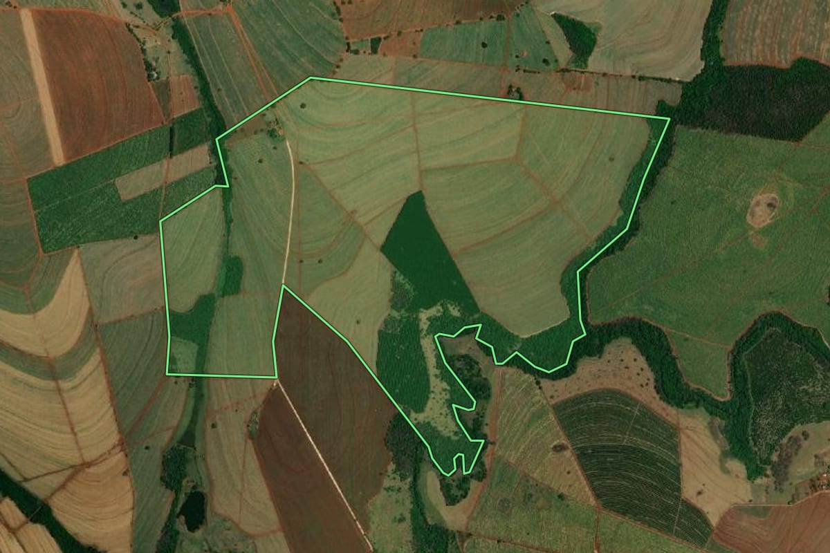 Imagem de satélite do imóvel rural em Itápolis (SP), com o contorno declarado no CAR desenhado por cima.