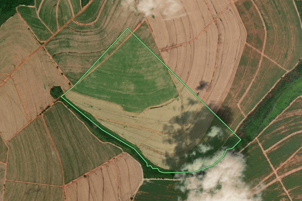 Imagem de satélite do imóvel rural em Itápolis (SP), com o contorno declarado no CAR desenhado por cima.