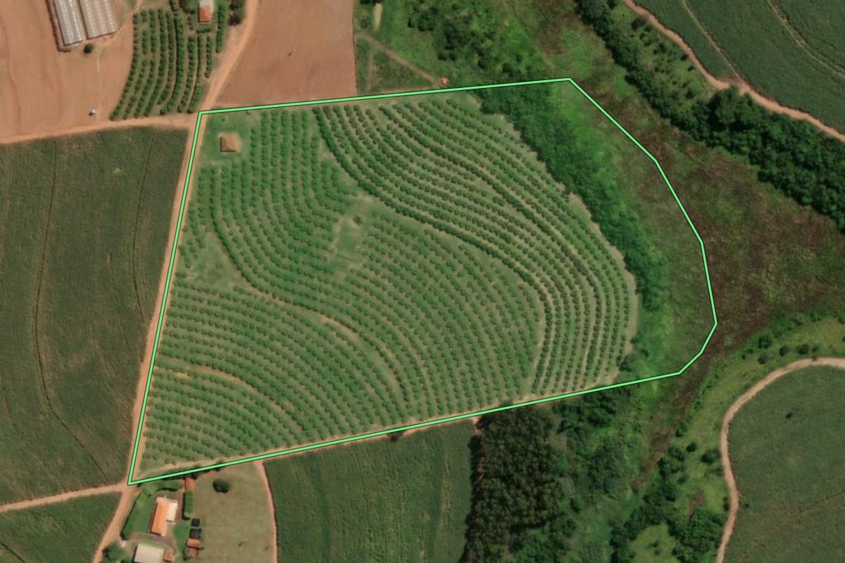Imagem de satélite do imóvel rural em Itápolis (SP), com o contorno declarado no CAR desenhado por cima.