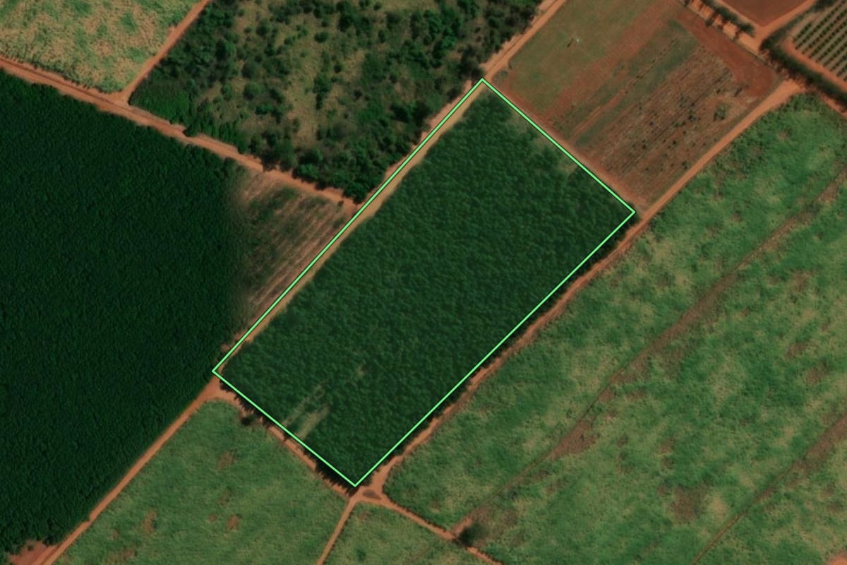 Imagem de satélite do imóvel rural em Itápolis (SP), com o contorno declarado no CAR desenhado por cima.