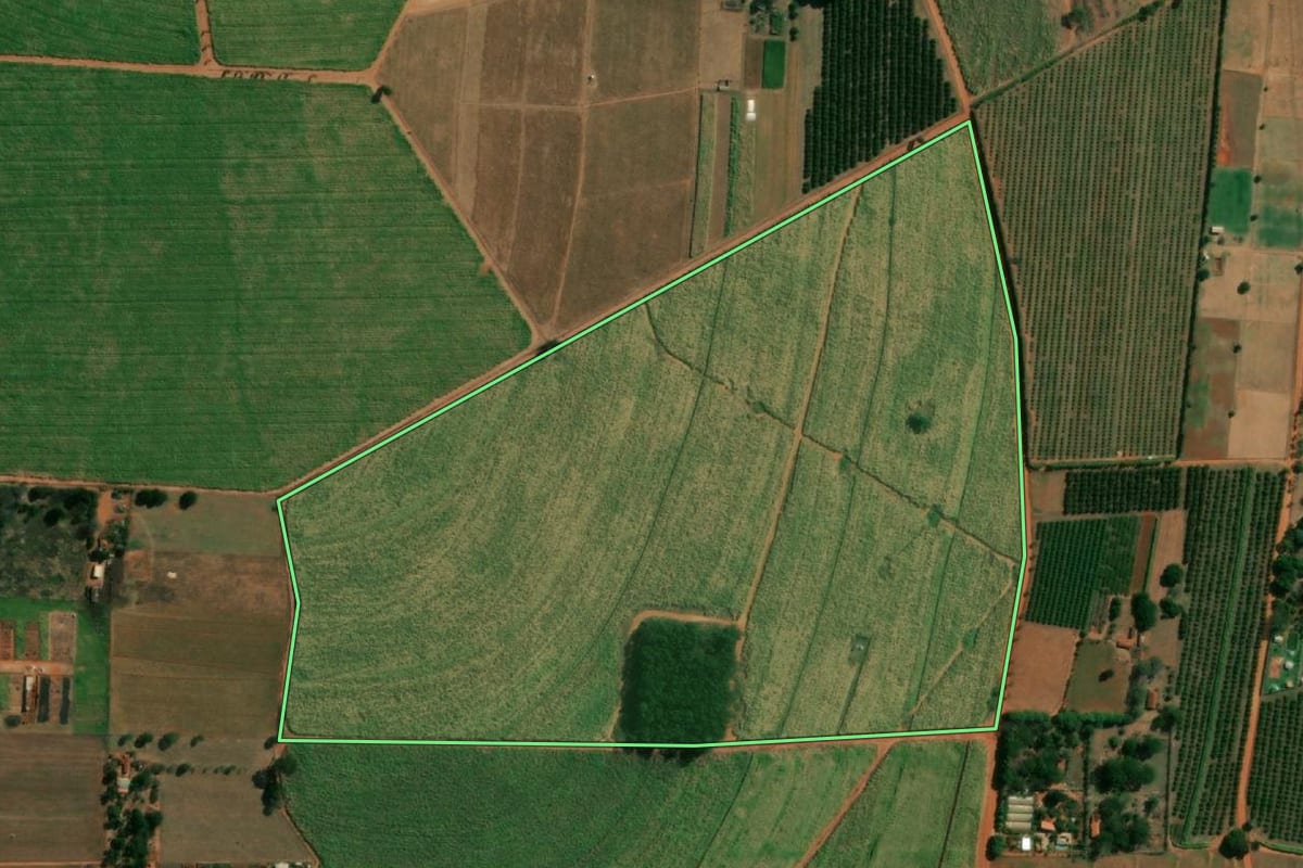 Imagem de satélite do imóvel rural em Itápolis (SP), com o contorno declarado no CAR desenhado por cima.