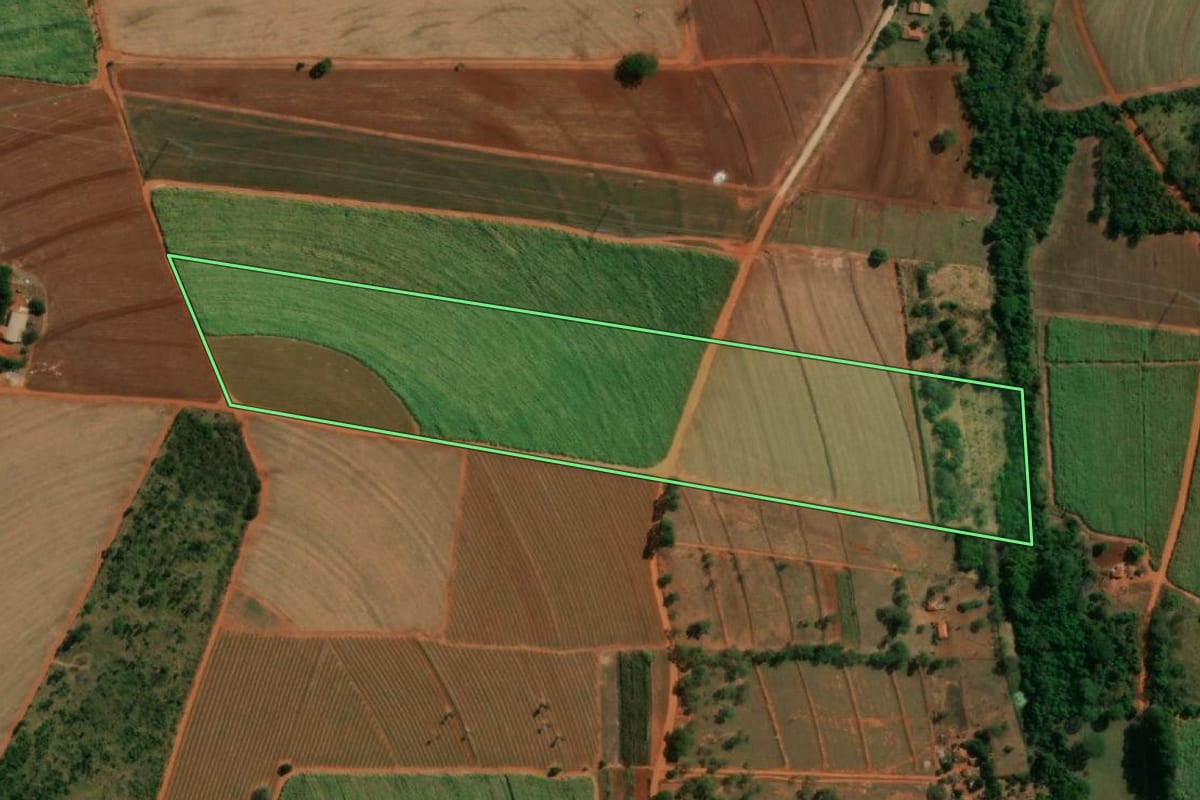Imagem de satélite do imóvel rural em Itápolis (SP), com o contorno declarado no CAR desenhado por cima.