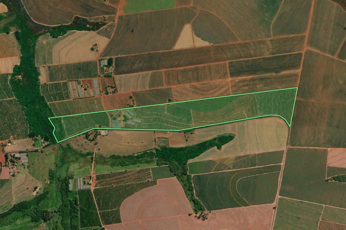 Imagem de satélite do imóvel rural em Itápolis (SP), com o contorno declarado no CAR desenhado por cima.