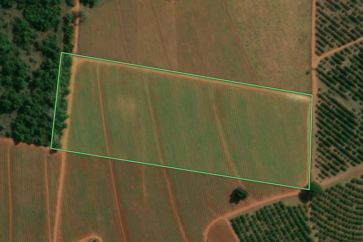 Imagem de satélite do imóvel rural em Itápolis (SP), com o contorno declarado no CAR desenhado por cima.