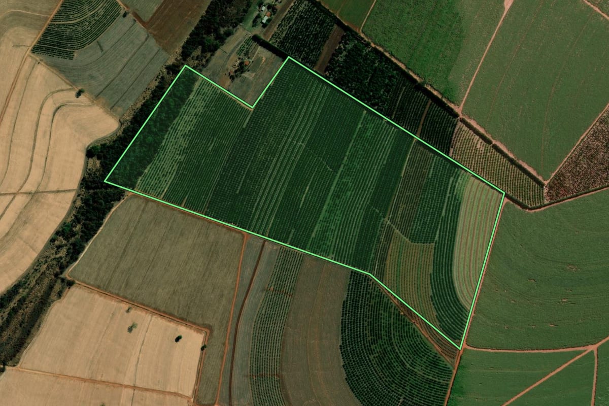 Imagem de satélite do imóvel rural em Itápolis (SP), com o contorno declarado no CAR desenhado por cima.