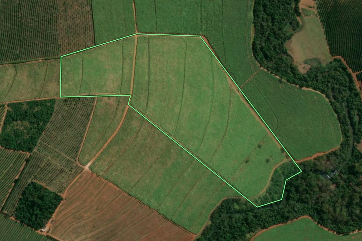 Imagem de satélite do imóvel rural em Itápolis (SP), com o contorno declarado no CAR desenhado por cima.