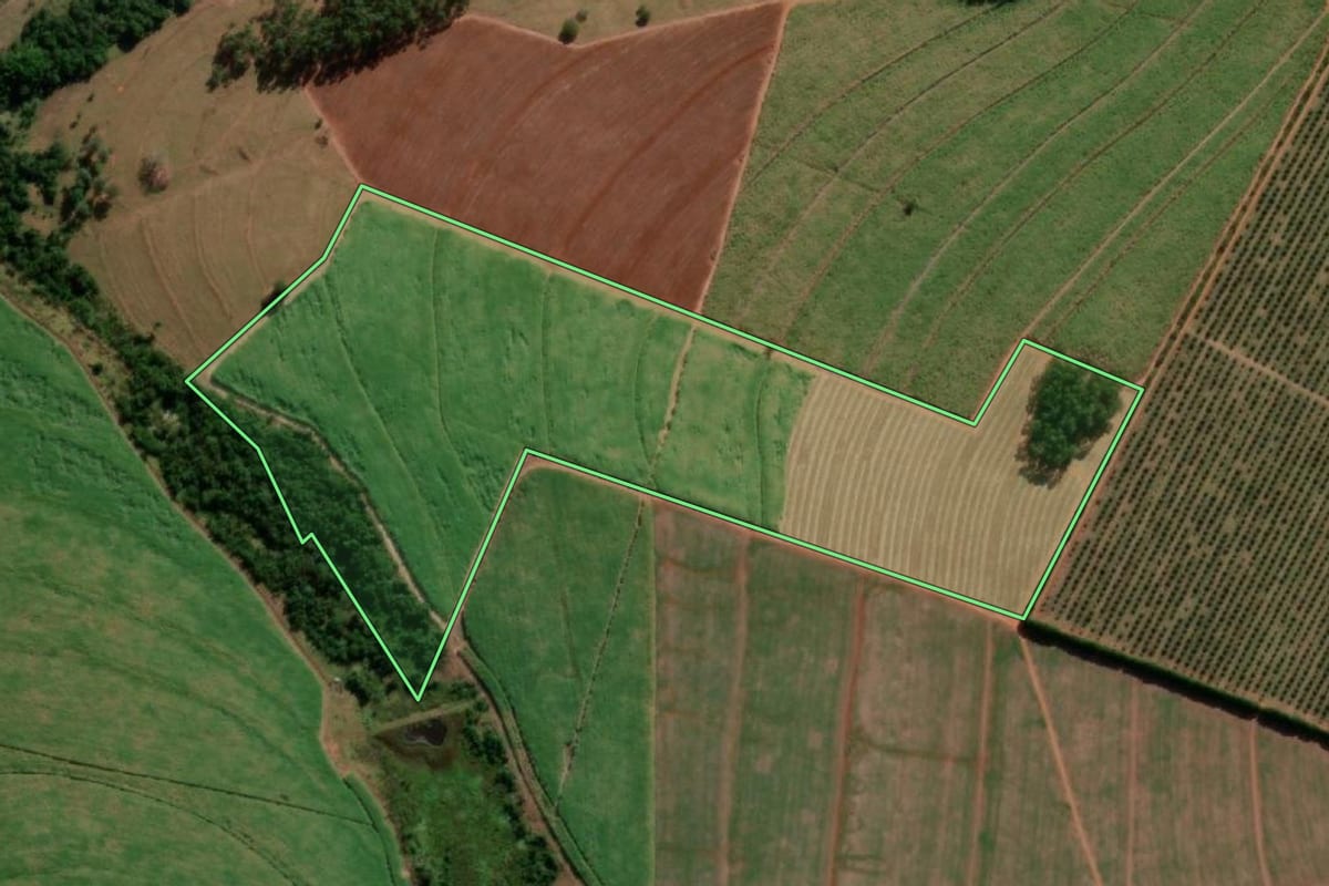 Imagem de satélite do imóvel rural em Itápolis (SP), com o contorno declarado no CAR desenhado por cima.