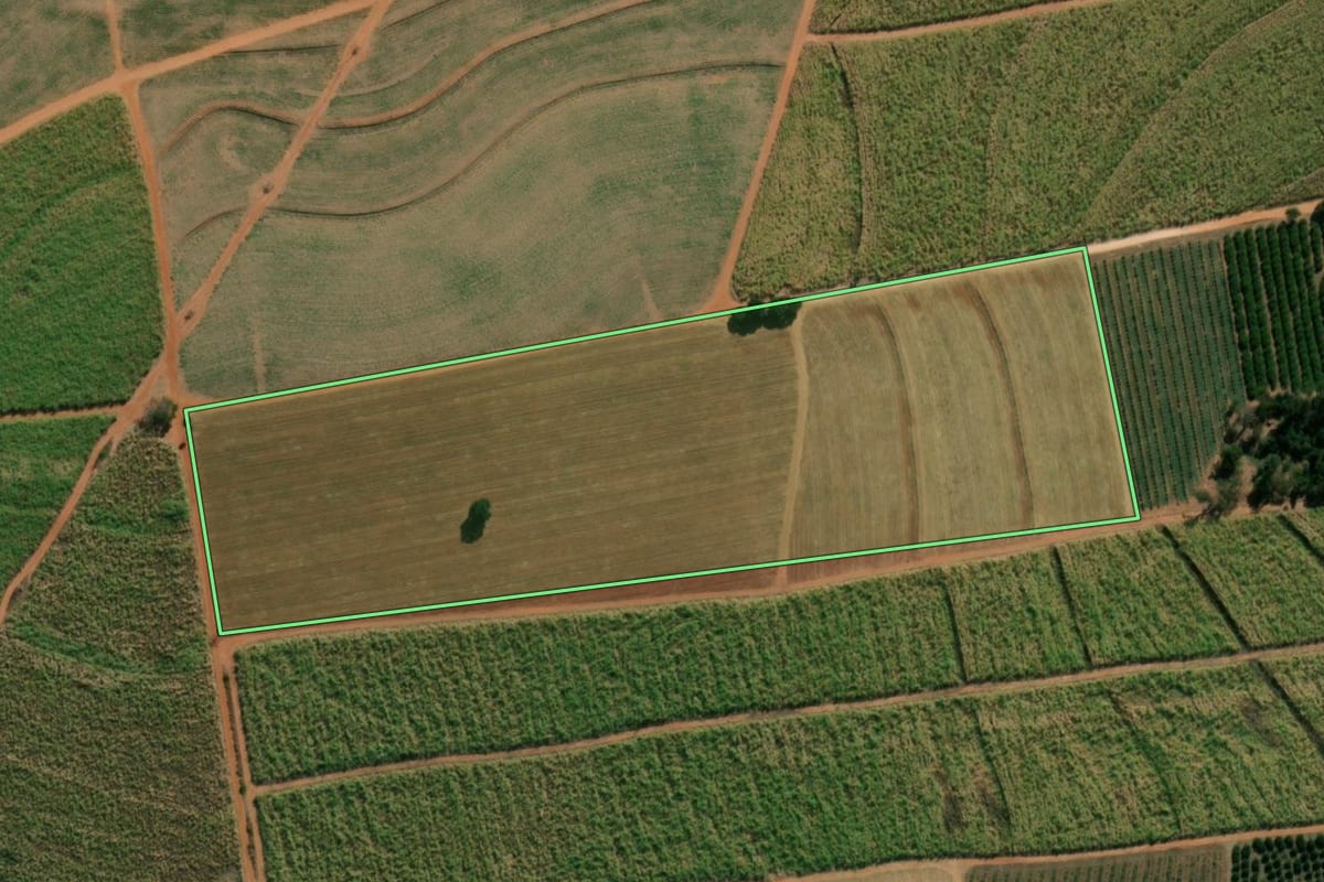 Imagem de satélite do imóvel rural em Itápolis (SP), com o contorno declarado no CAR desenhado por cima.