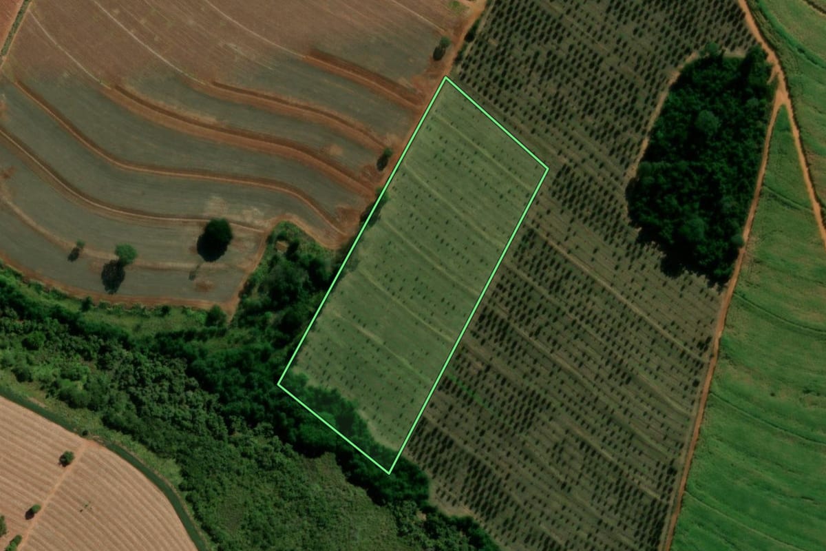 Imagem de satélite do imóvel rural em Itápolis (SP), com o contorno declarado no CAR desenhado por cima.