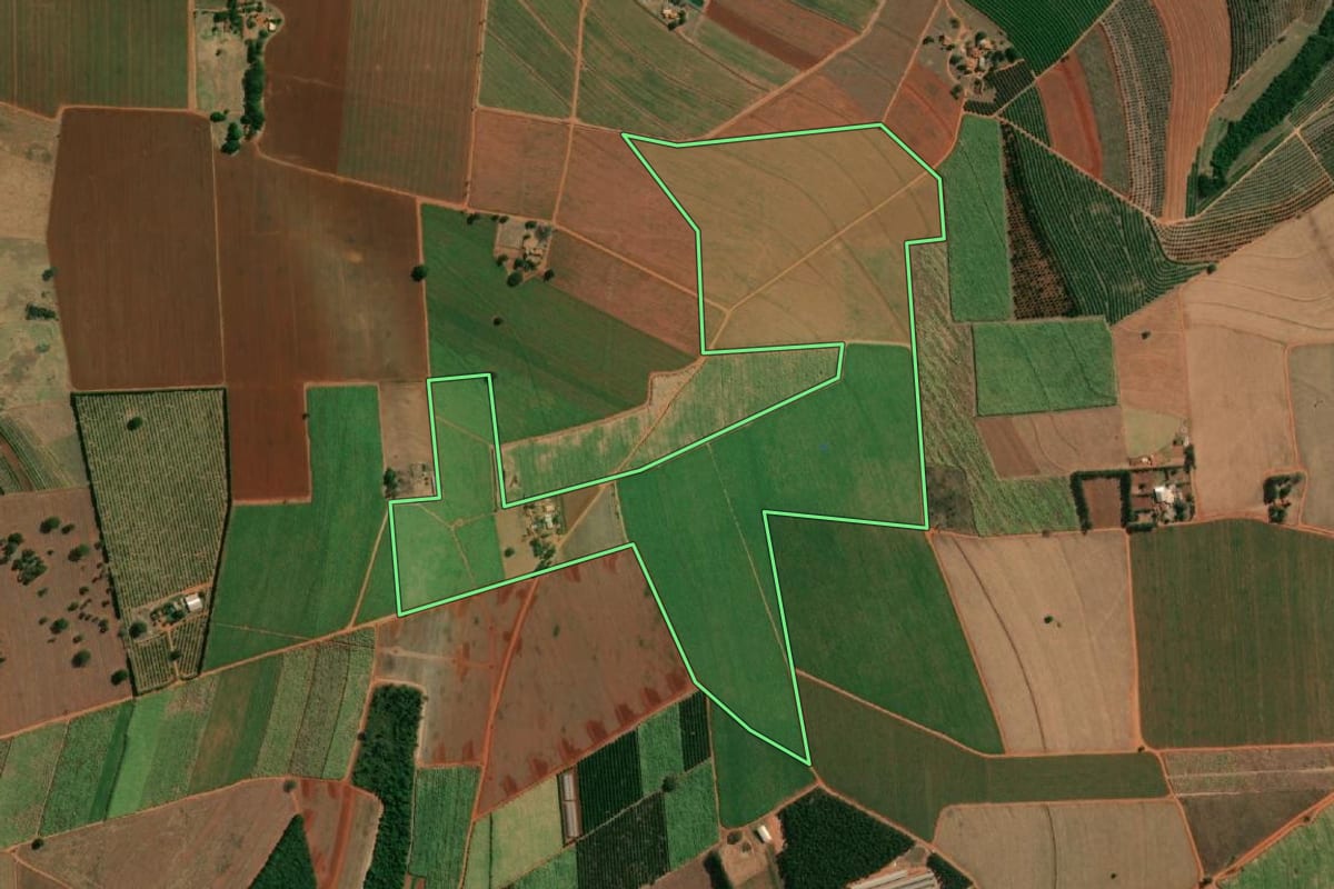 Imagem de satélite do imóvel rural em Itápolis (SP), com o contorno declarado no CAR desenhado por cima.