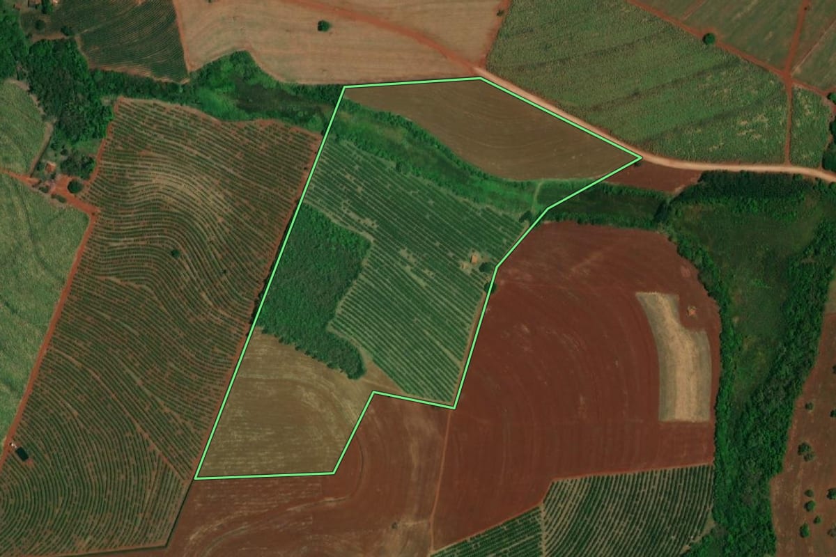 Imagem de satélite do imóvel rural em Itápolis (SP), com o contorno declarado no CAR desenhado por cima.