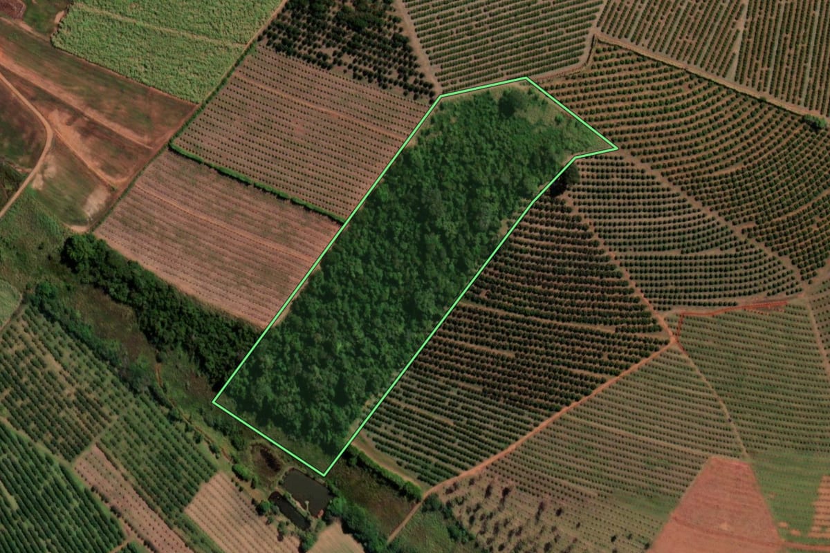 Imagem de satélite do imóvel rural em Itápolis (SP), com o contorno declarado no CAR desenhado por cima.