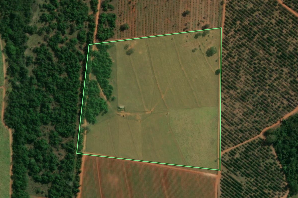 Imagem de satélite do imóvel rural em Itápolis (SP), com o contorno declarado no CAR desenhado por cima.