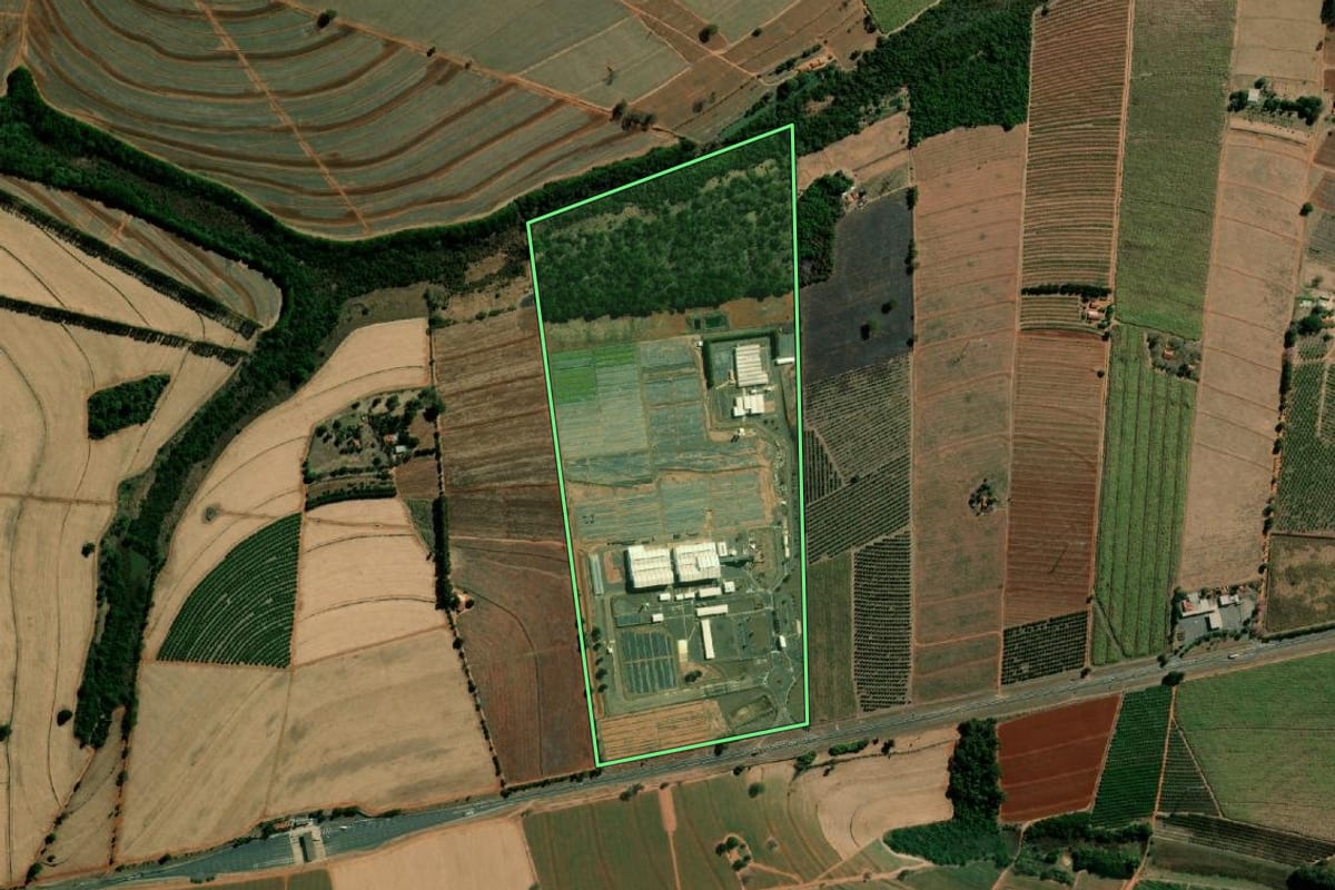 Imagem de satélite do imóvel rural em Itápolis (SP), com o contorno declarado no CAR desenhado por cima.
