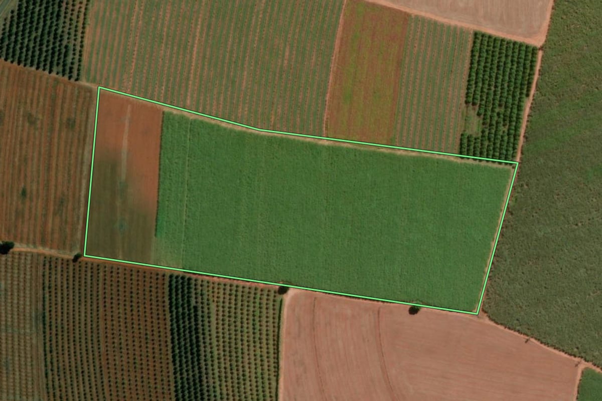Imagem de satélite do imóvel rural em Itápolis (SP), com o contorno declarado no CAR desenhado por cima.