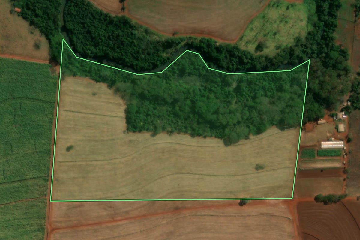 Imagem de satélite do imóvel rural em Itápolis (SP), com o contorno declarado no CAR desenhado por cima.
