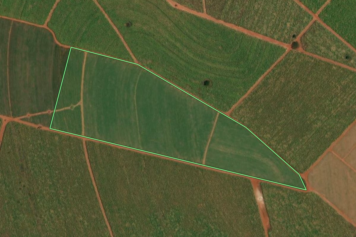 Imagem de satélite do imóvel rural em Itápolis (SP), com o contorno declarado no CAR desenhado por cima.