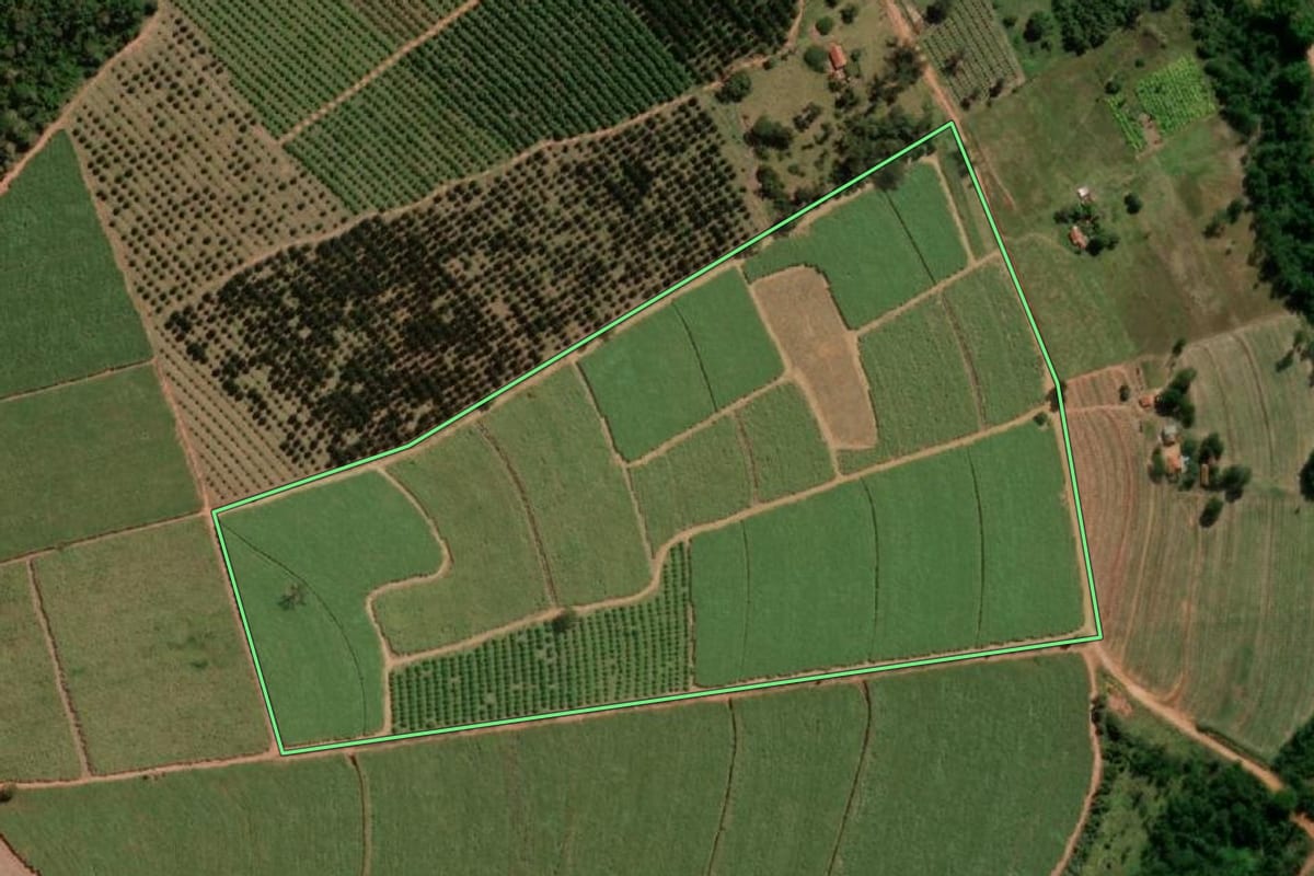Imagem de satélite do imóvel rural em Itápolis (SP), com o contorno declarado no CAR desenhado por cima.