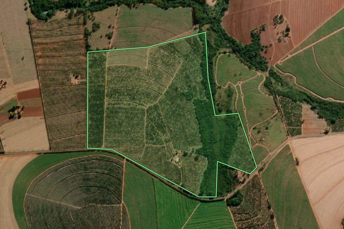 Imagem de satélite do imóvel rural em Itápolis (SP), com o contorno declarado no CAR desenhado por cima.