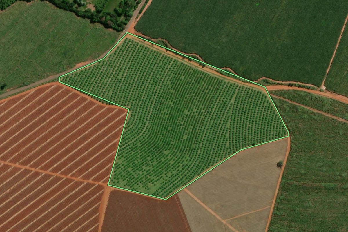 Imagem de satélite do imóvel rural em Itápolis (SP), com o contorno declarado no CAR desenhado por cima.