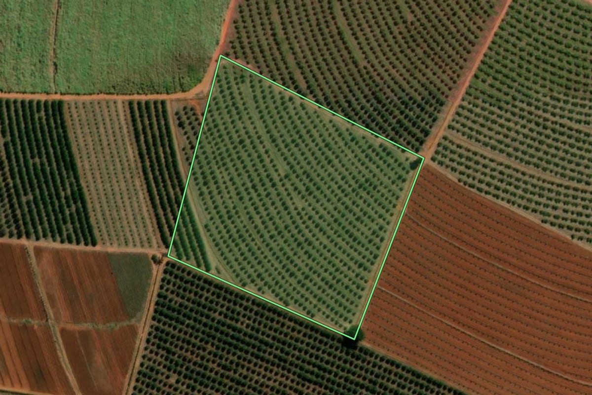 Imagem de satélite do imóvel rural em Itápolis (SP), com o contorno declarado no CAR desenhado por cima.