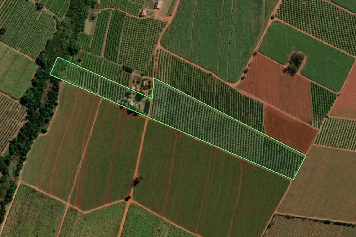 Imagem de satélite do imóvel rural em Itápolis (SP), com o contorno declarado no CAR desenhado por cima.