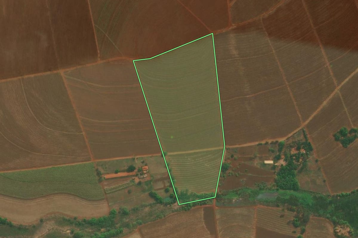Imagem de satélite do imóvel rural em Itapuí (SP), com o contorno declarado no CAR desenhado por cima.