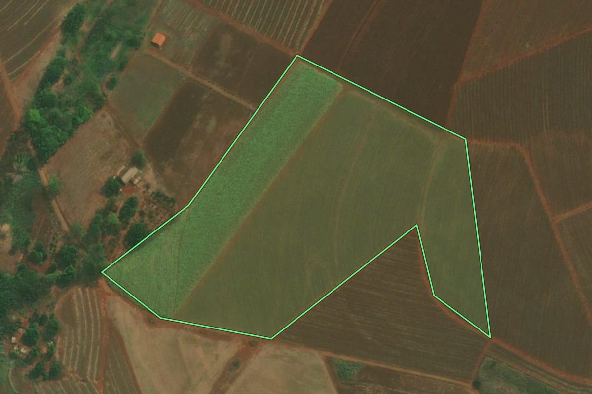 Imagem de satélite do imóvel rural em Itapuí (SP), com o contorno declarado no CAR desenhado por cima.