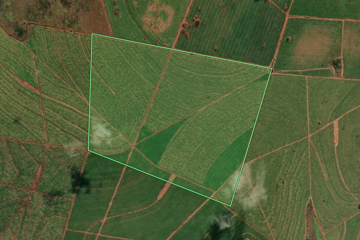 Imagem de satélite do imóvel rural em Itapura (SP), com o contorno declarado no CAR desenhado por cima.