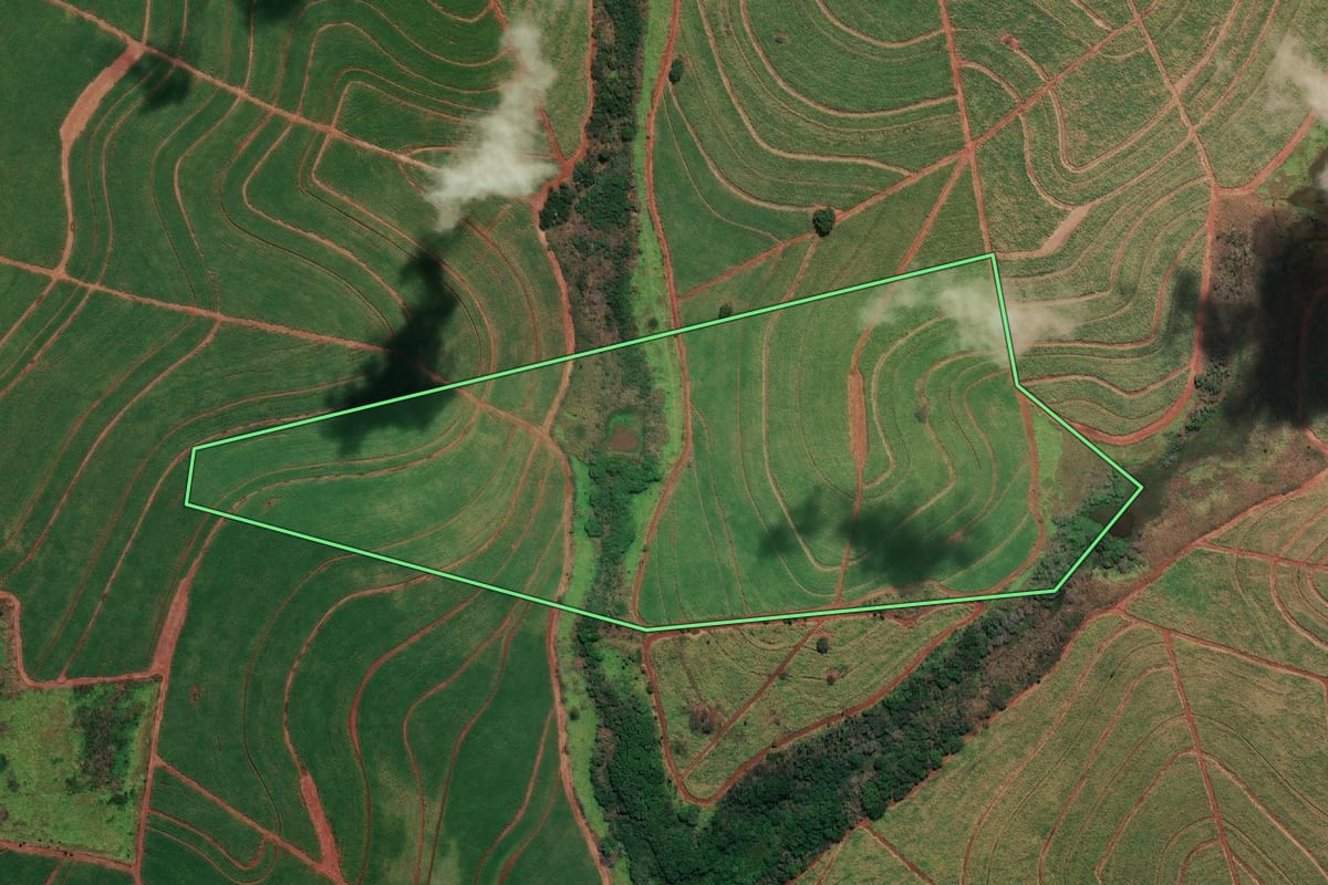 Imagem de satélite do imóvel rural em Itapura (SP), com o contorno declarado no CAR desenhado por cima.