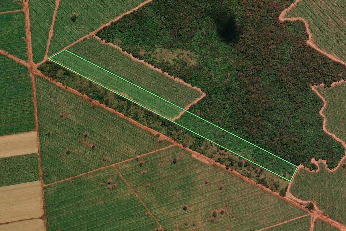 Imagem de satélite do imóvel rural em Itapura (SP), com o contorno declarado no CAR desenhado por cima.