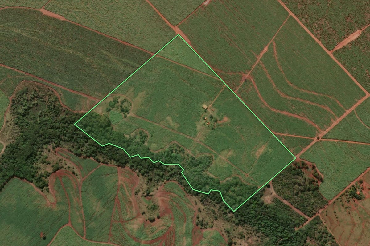 Imagem de satélite do imóvel rural em Itapura (SP), com o contorno declarado no CAR desenhado por cima.
