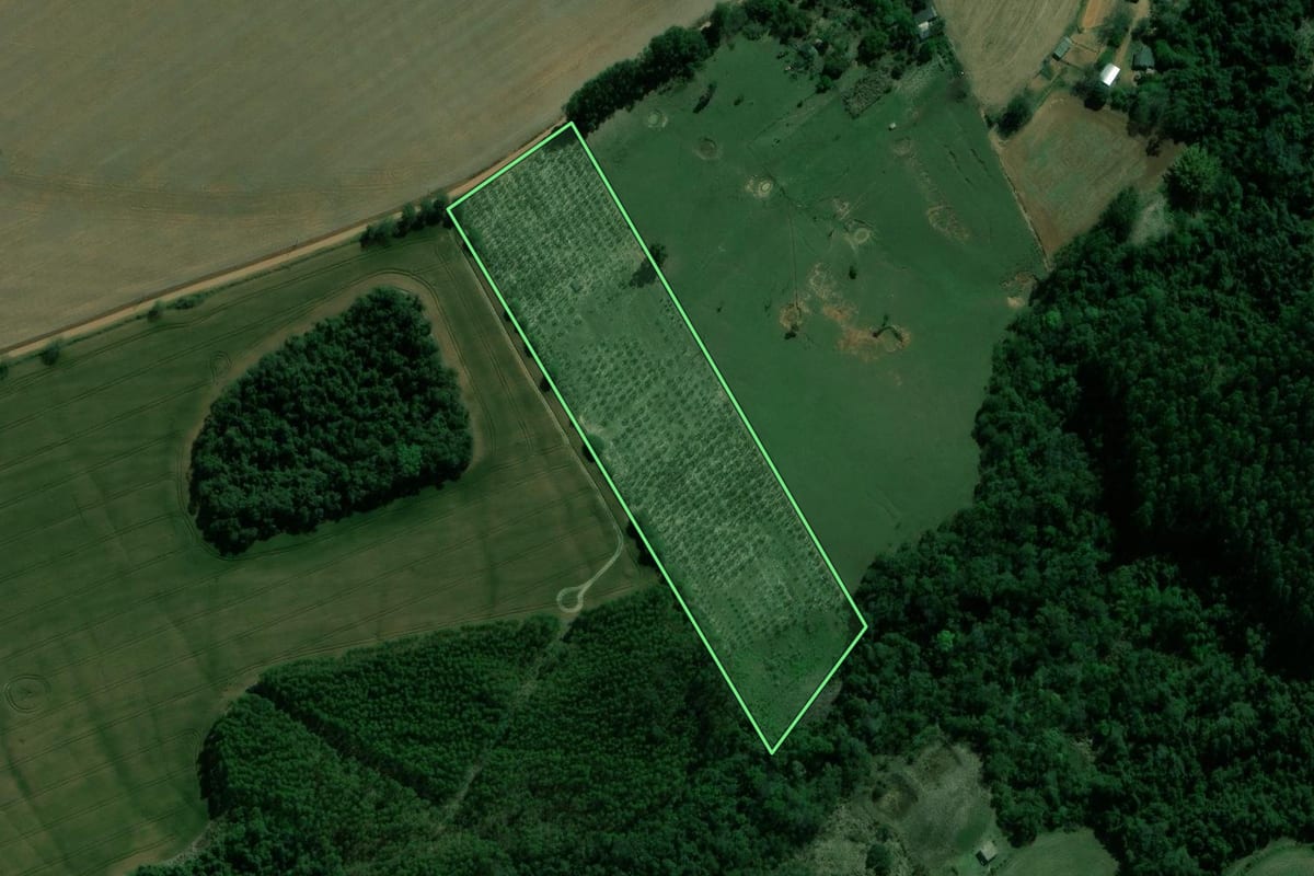 Imagem de satélite do imóvel rural em Itararé (SP), com o contorno declarado no CAR desenhado por cima.