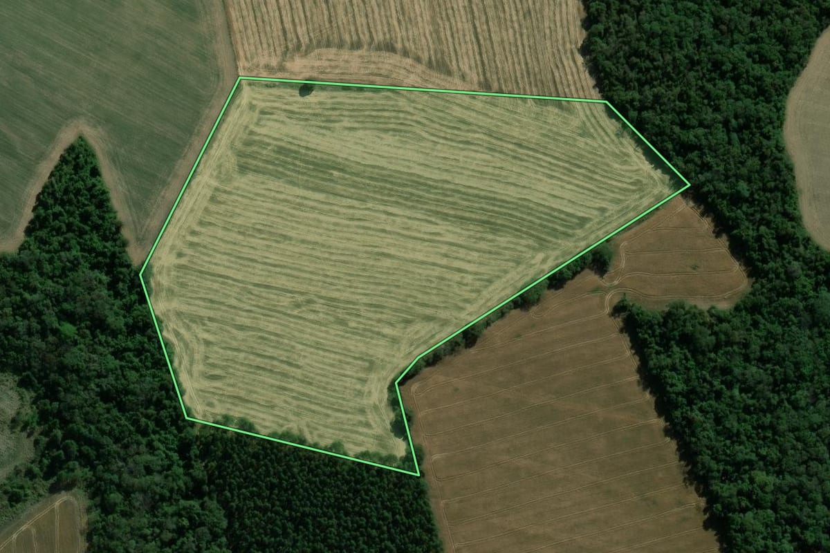 Imagem de satélite do imóvel rural em Itararé (SP), com o contorno declarado no CAR desenhado por cima.