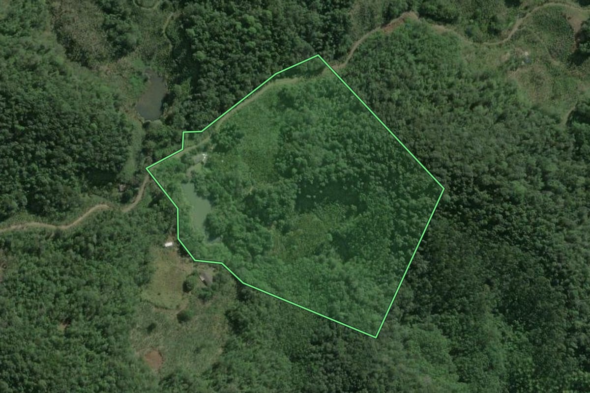 Imagem de satélite do imóvel rural em Itariri (SP), com o contorno declarado no CAR desenhado por cima.