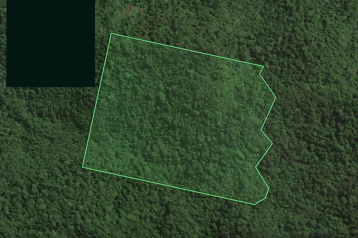 Imagem de satélite do imóvel rural em Itariri (SP), com o contorno declarado no CAR desenhado por cima.