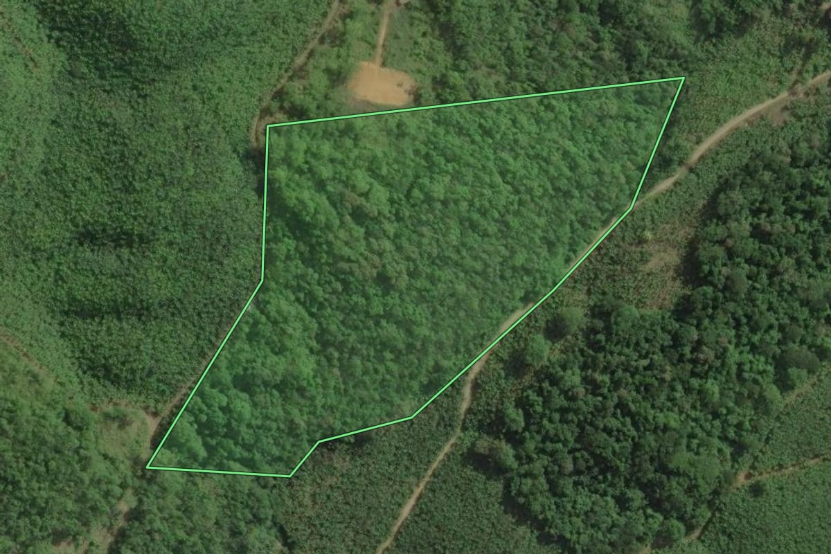 Imagem de satélite do imóvel rural em Itariri (SP), com o contorno declarado no CAR desenhado por cima.