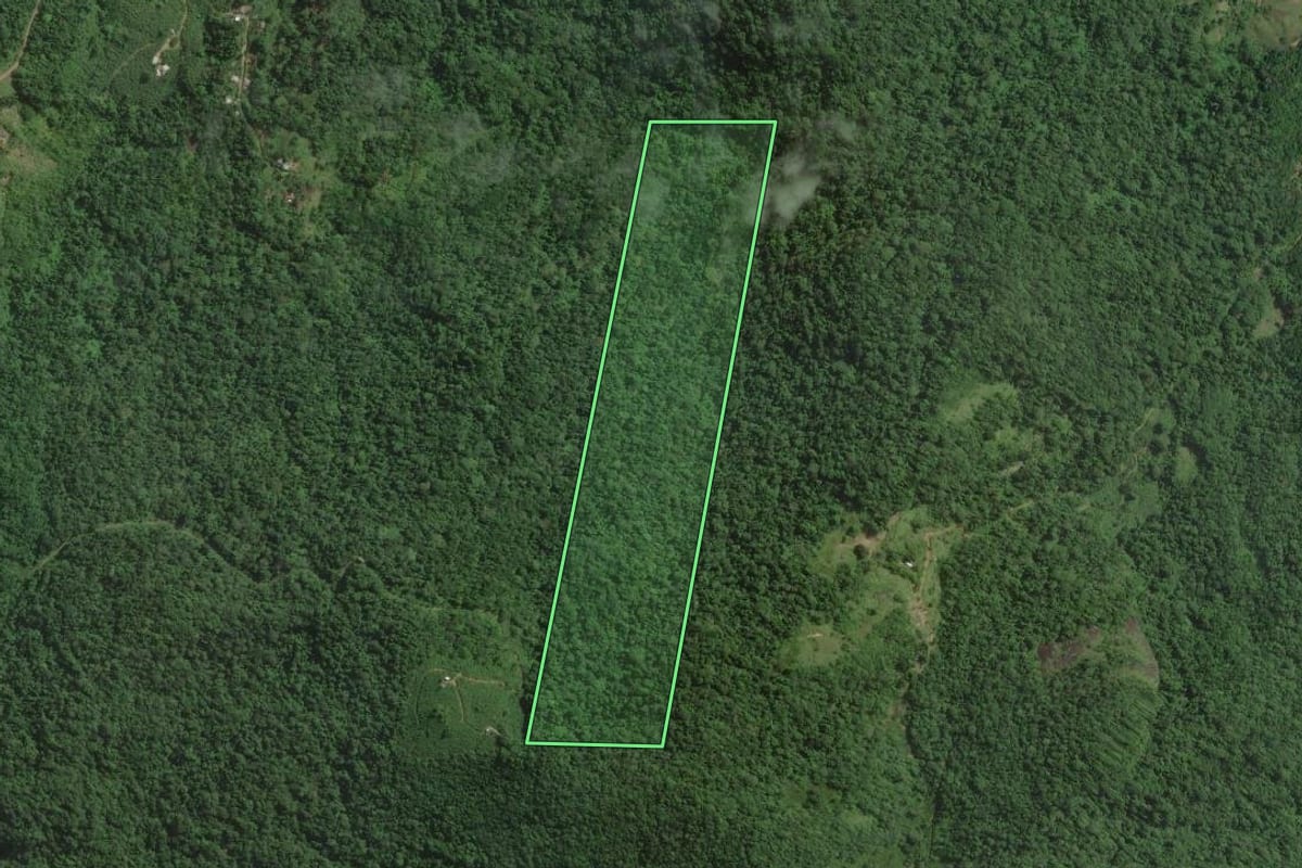 Imagem de satélite do imóvel rural em Itariri (SP), com o contorno declarado no CAR desenhado por cima.
