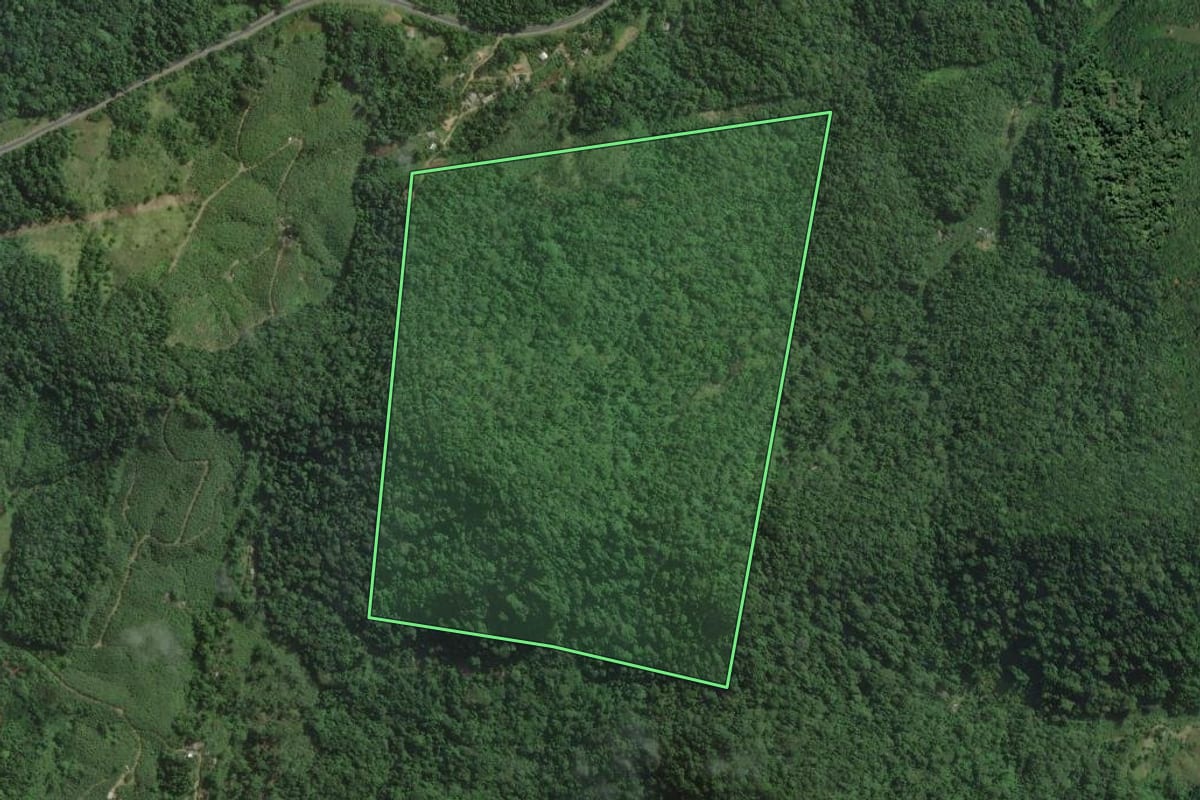 Imagem de satélite do imóvel rural em Itariri (SP), com o contorno declarado no CAR desenhado por cima.