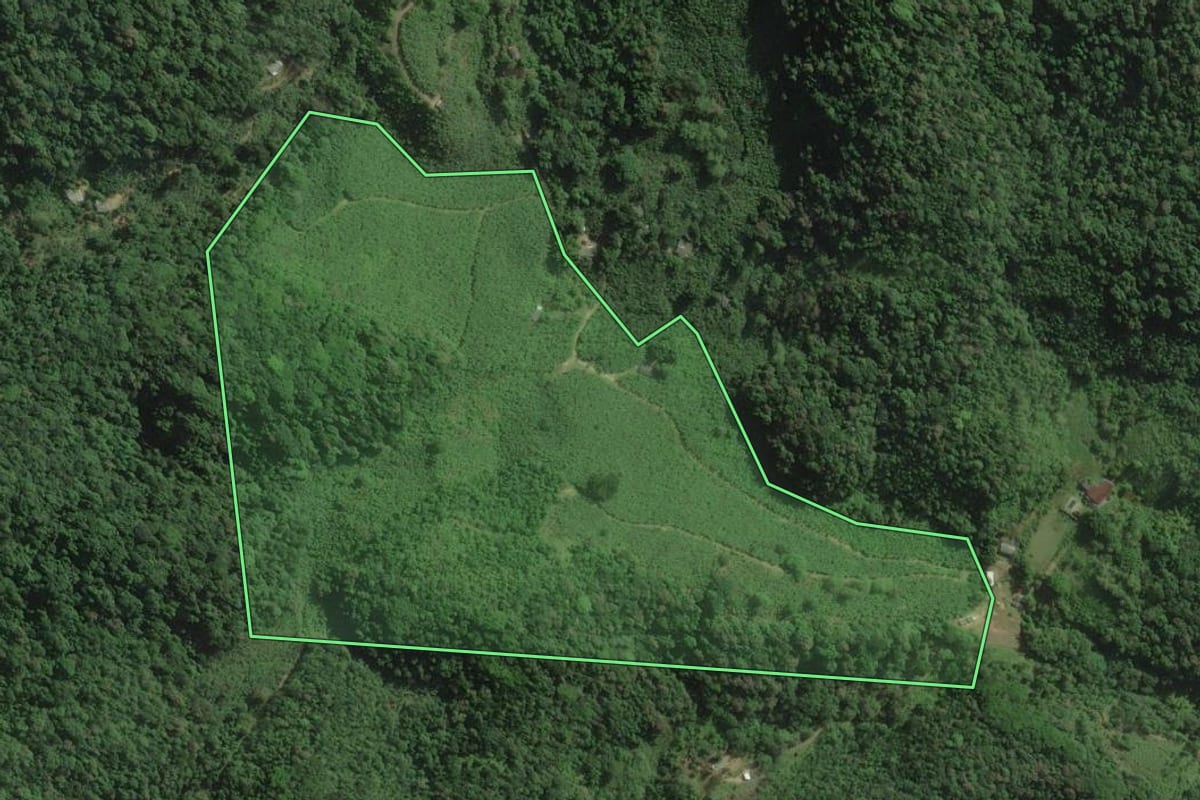Imagem de satélite do imóvel rural em Itariri (SP), com o contorno declarado no CAR desenhado por cima.