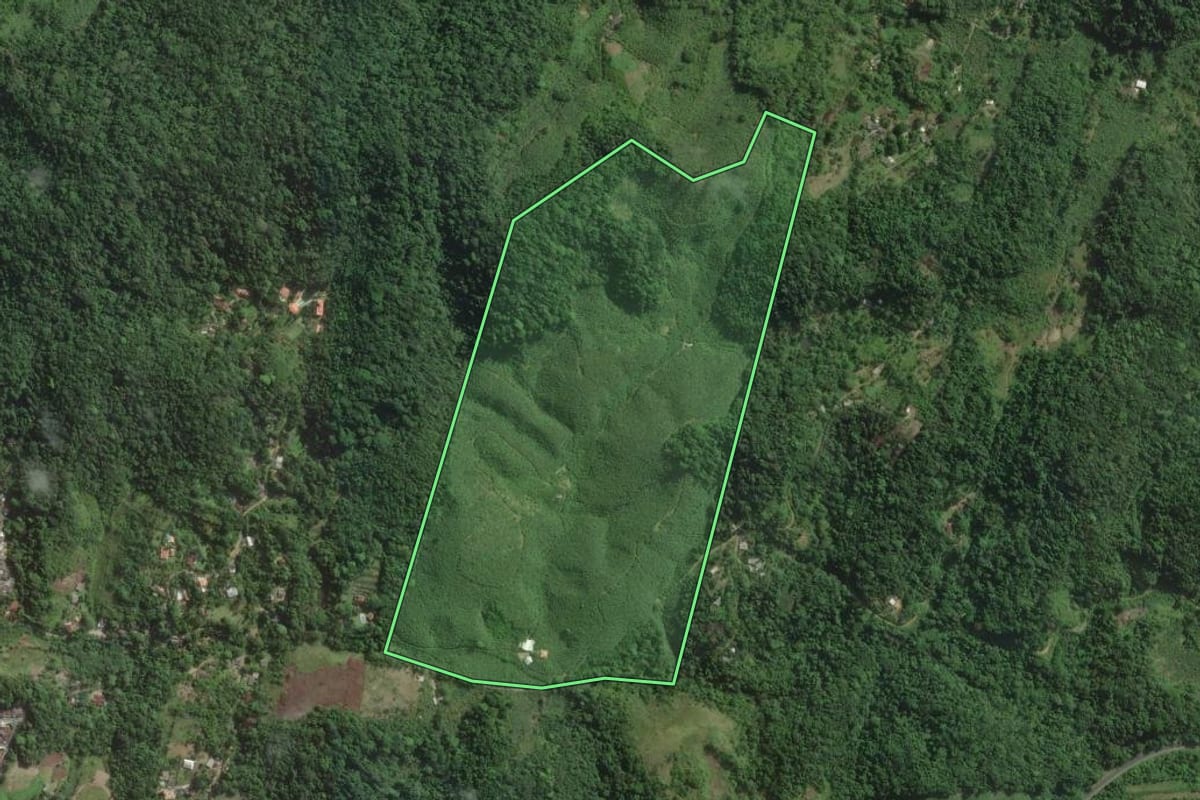 Imagem de satélite do imóvel rural em Itariri (SP), com o contorno declarado no CAR desenhado por cima.