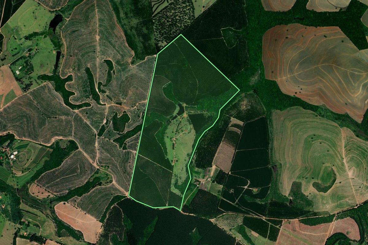 Imagem de satélite do imóvel rural em Itatinga (SP), com o contorno declarado no CAR desenhado por cima.