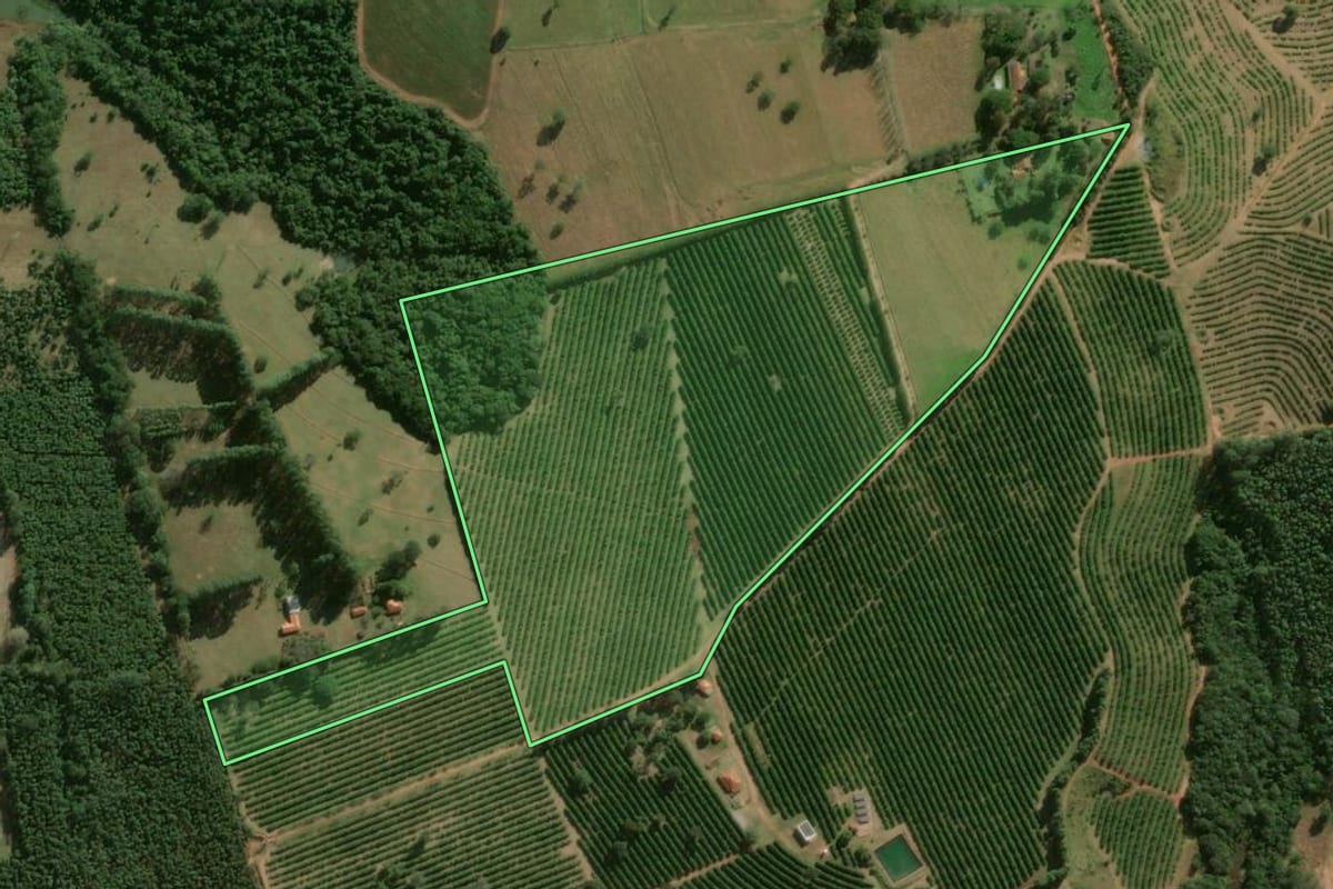 Imagem de satélite do imóvel rural em Itatinga (SP), com o contorno declarado no CAR desenhado por cima.