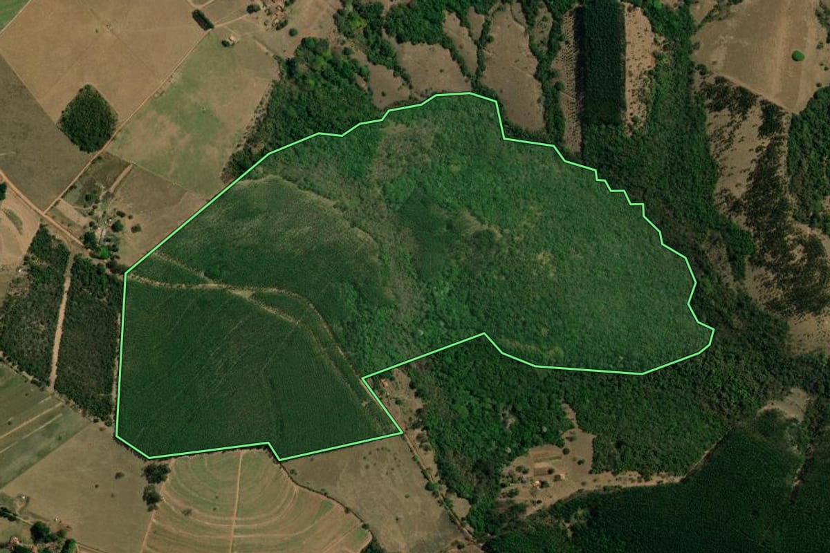 Imagem de satélite do imóvel rural em Itirapina (SP), com o contorno declarado no CAR desenhado por cima.