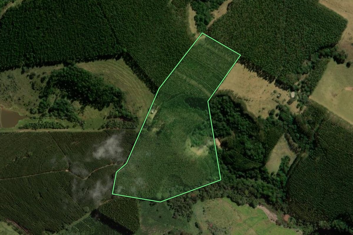 Imagem de satélite do imóvel rural em Itirapina (SP), com o contorno declarado no CAR desenhado por cima.