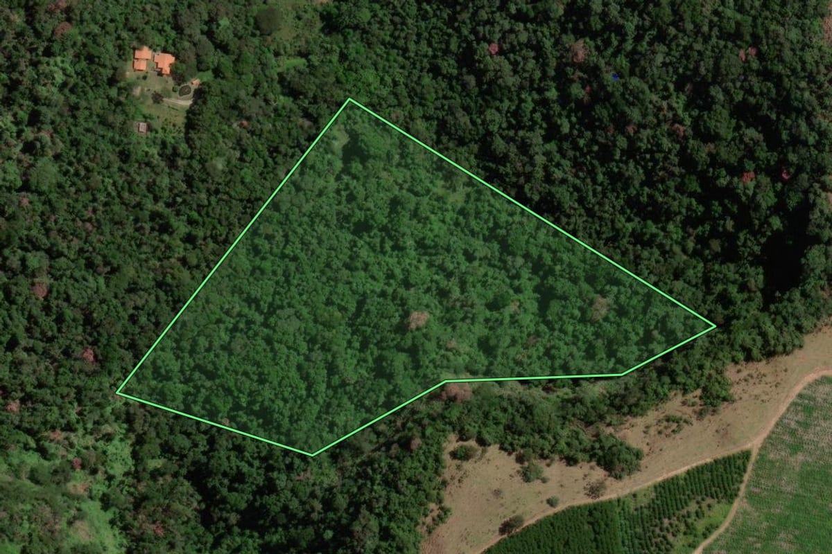 Imagem de satélite do imóvel rural em Itirapina (SP), com o contorno declarado no CAR desenhado por cima.