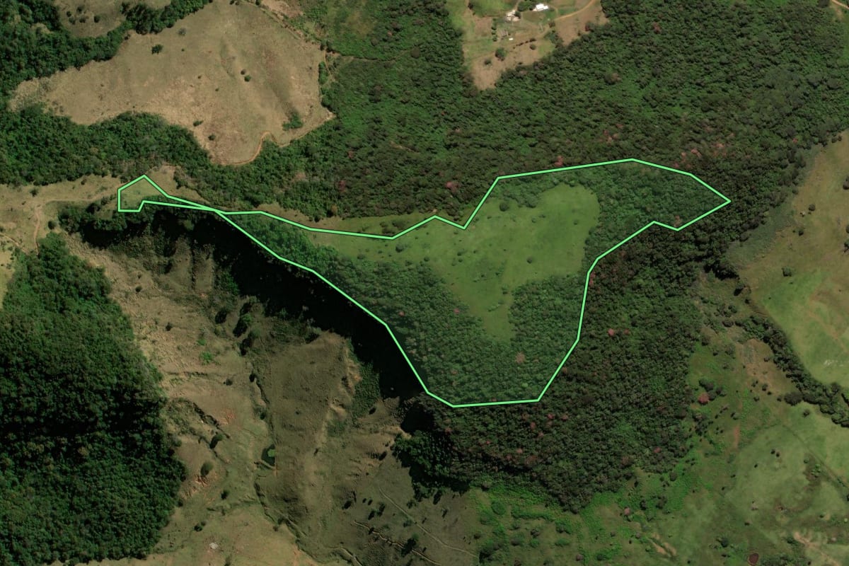 Imagem de satélite do imóvel rural em Itirapina (SP), com o contorno declarado no CAR desenhado por cima.