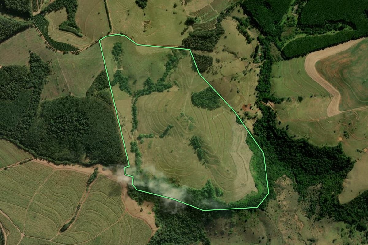 Imagem de satélite do imóvel rural em Itirapina (SP), com o contorno declarado no CAR desenhado por cima.